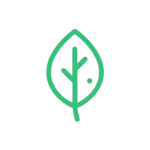 chatgpt image jul 29, 2025, 12 11 11 pm